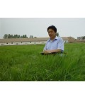 潘永东——甘肃省农业科学院啤酒原料研究所研究员